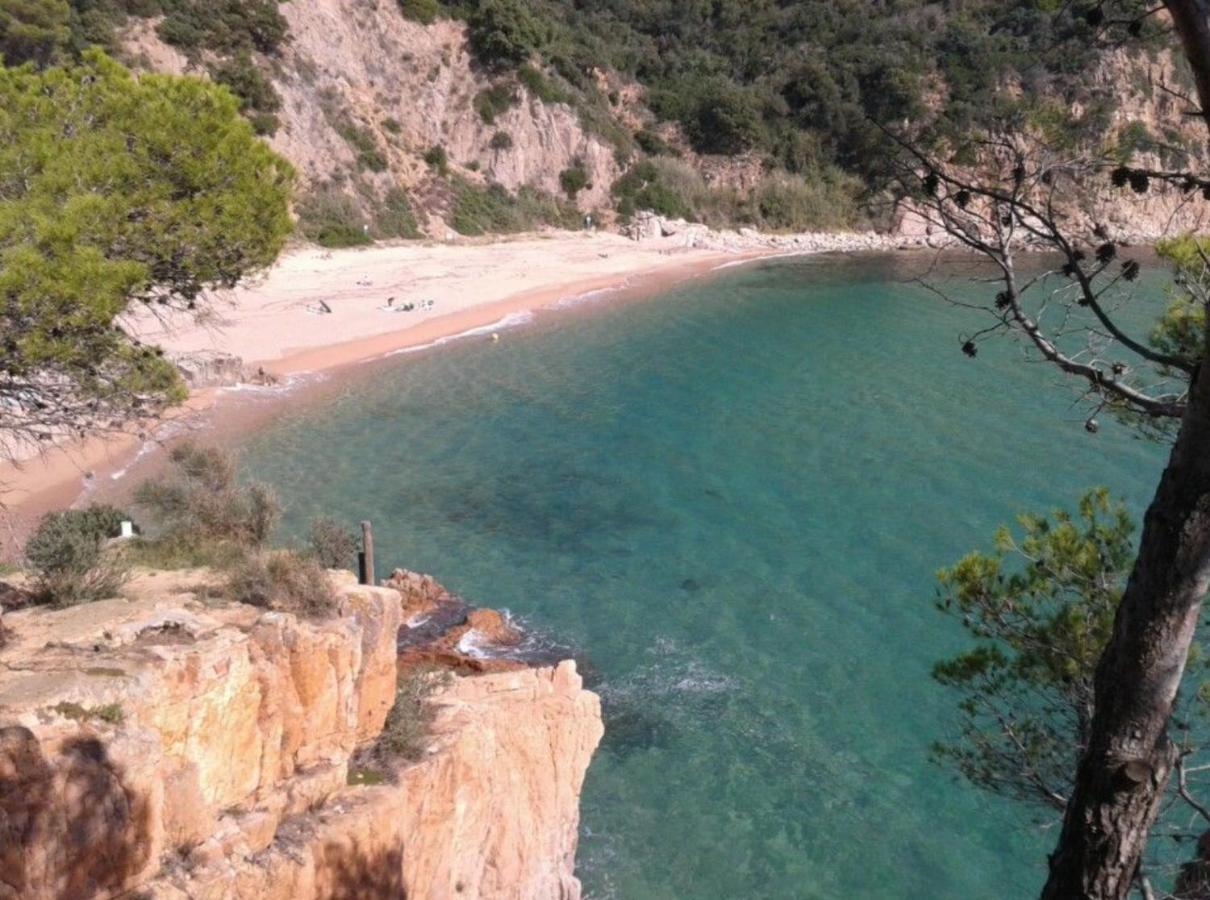 Nuevo Luminoso Apartamento Catalina A 80 Metros De La Playa Para 4 Personas Sant Feliu de Guíxols Buitenkant foto