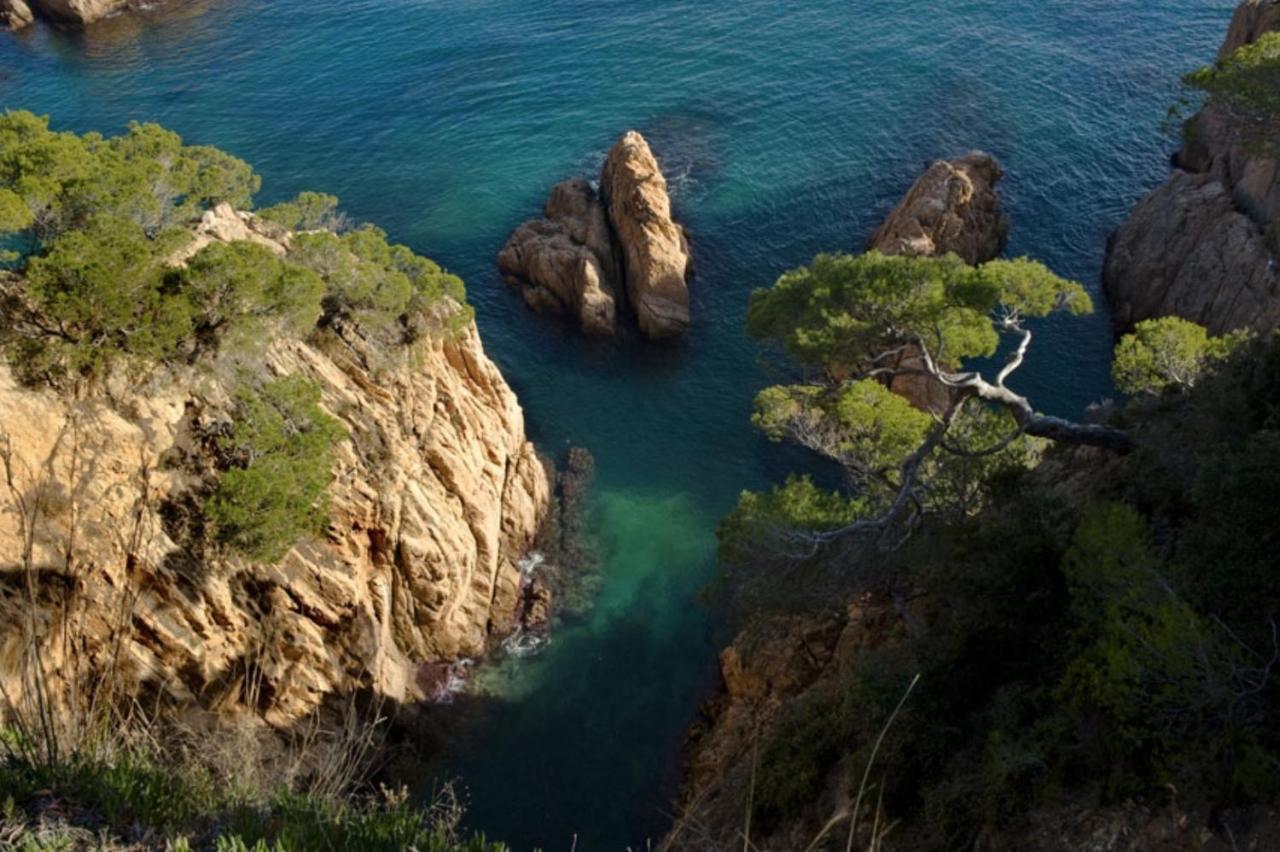 Nuevo Luminoso Apartamento Catalina A 80 Metros De La Playa Para 4 Personas Sant Feliu de Guíxols Buitenkant foto